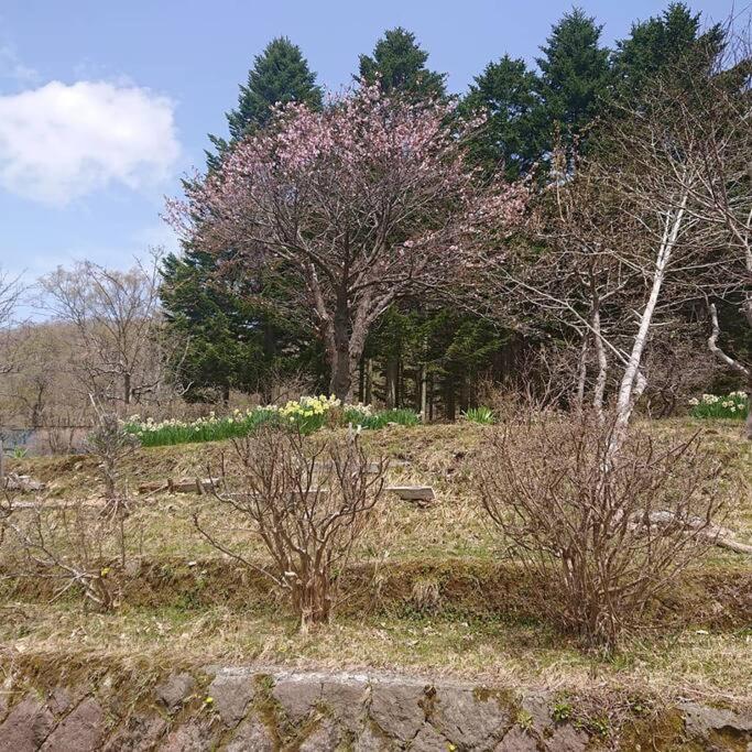 No Mori Holiday home *