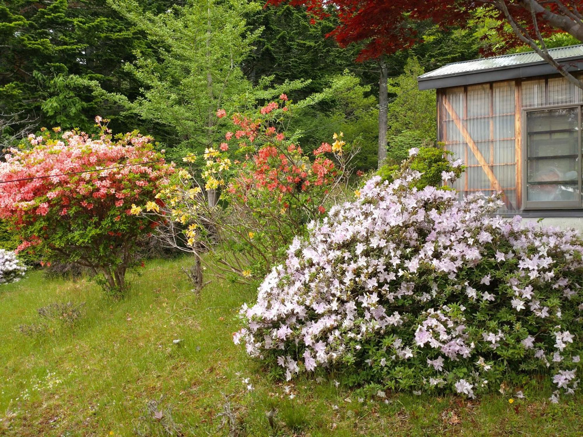 No Mori Holiday home