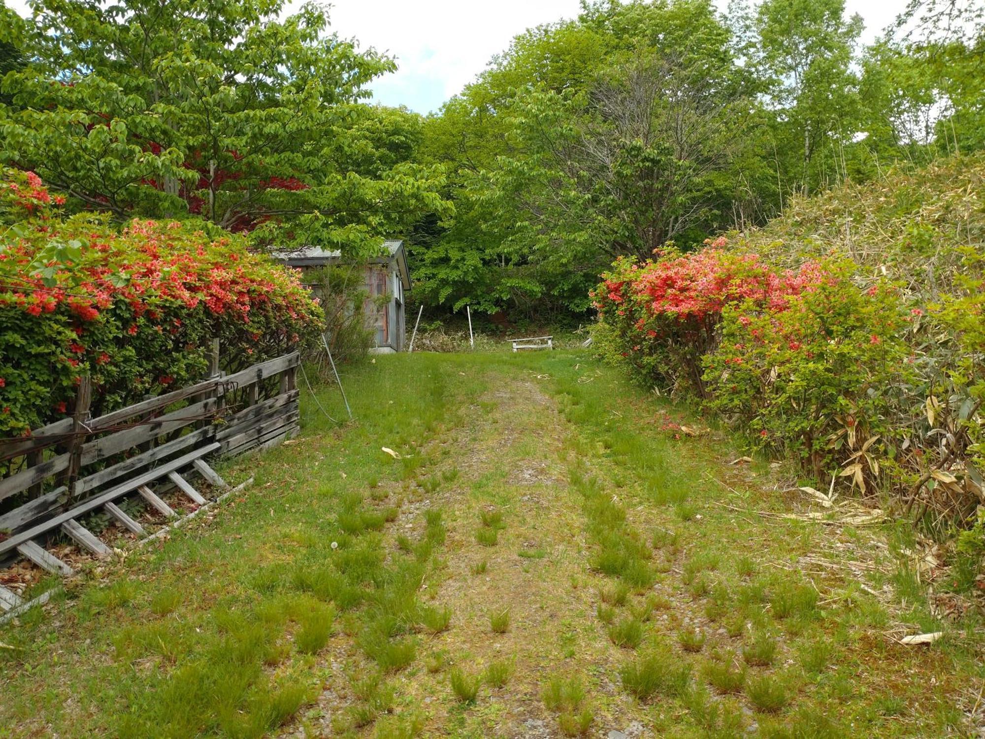No Mori Holiday home *